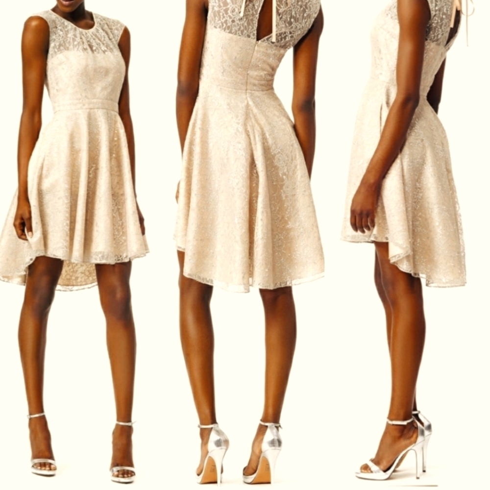 Slate & Willow Champagne Illusion Neckline Glistening Lace Spin Dress Rare